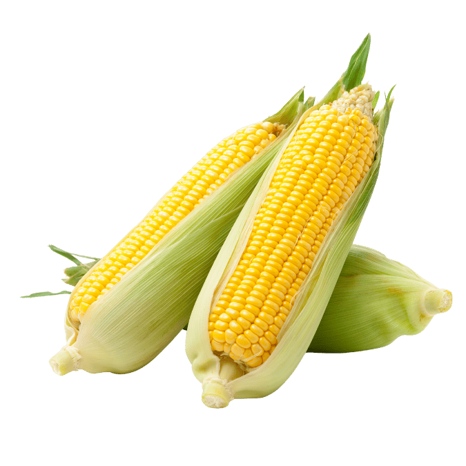 とうもろこし