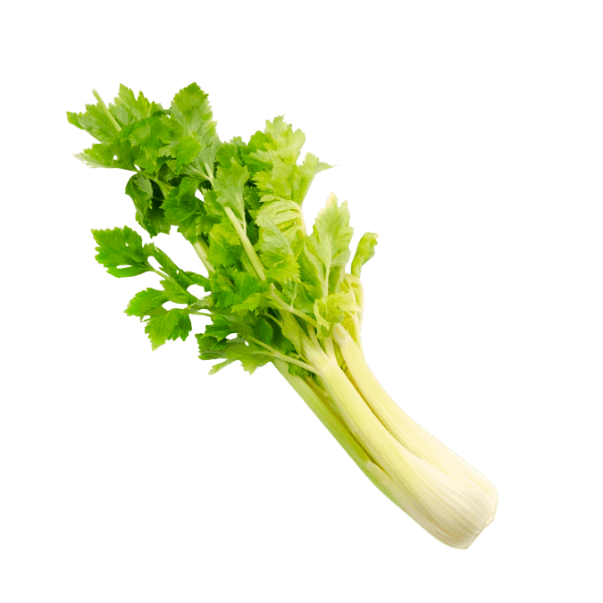 セロリ