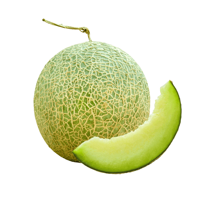 メロン