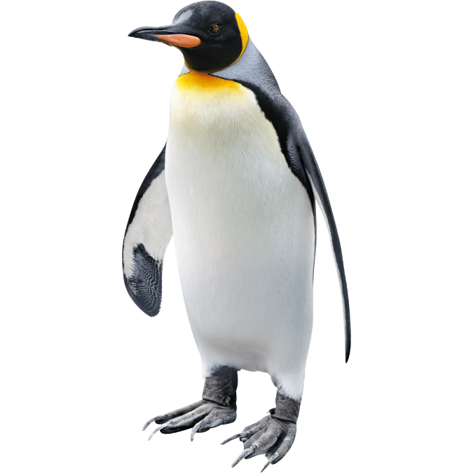 ぺんぎん
