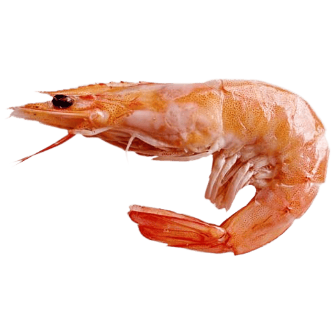 えび