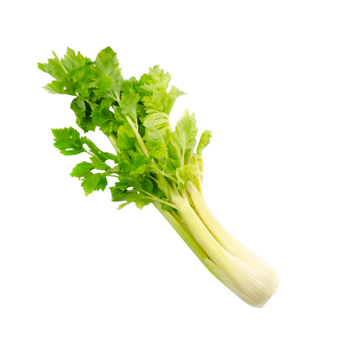 セロリ