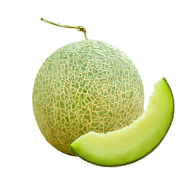 メロン